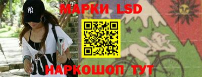 шишки Кандалакша