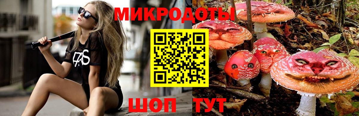 Галлюциногенные грибы мицелий  Вход с VPN  Галлюциногенные грибы MAGIC MUSHROOMS  хочу наркоту  Куйбышев 