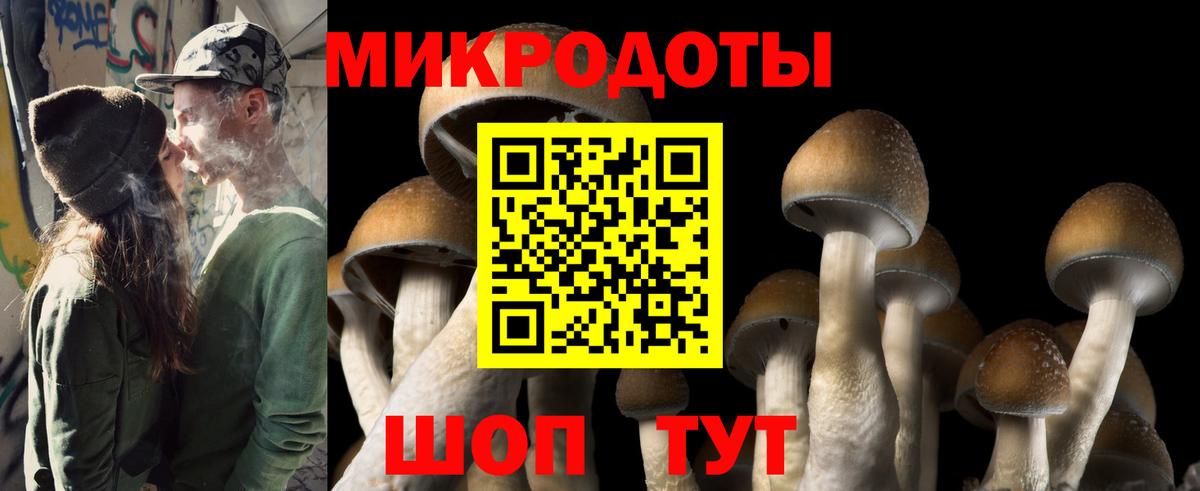 Псилоцибиновые грибы Psilocybine cubensis Куйбышев
